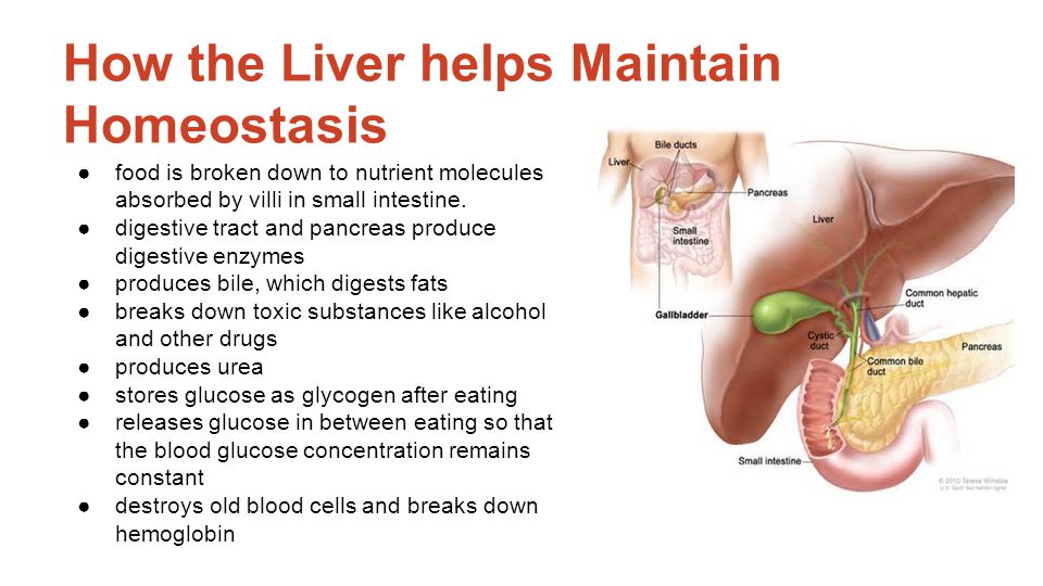 Liver immunology and its role in inflammation and homeostasis